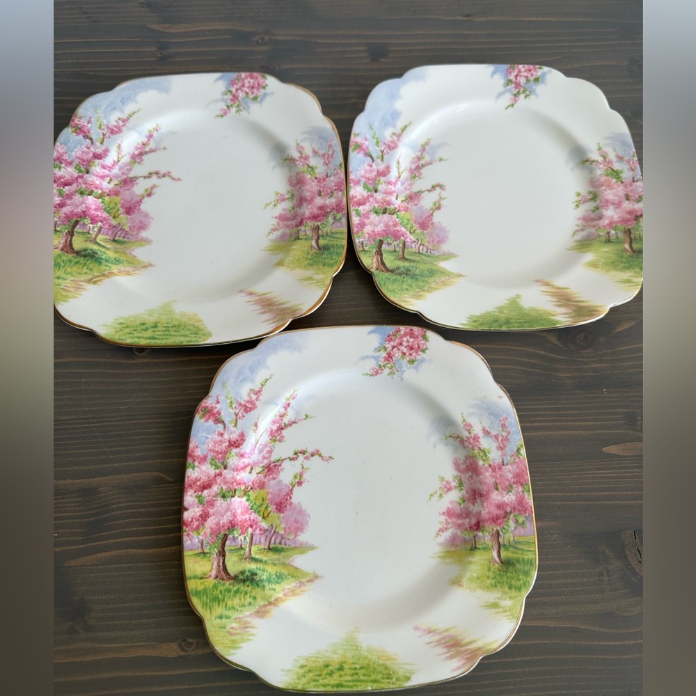 Royal Albert bone china - England
Blossom Time🌸
8” lunch plates x 3